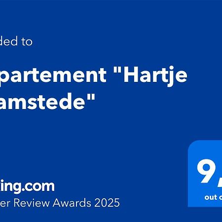 Appartement "Hartje Haamstede" 巴勒哈姆斯泰德 外观 照片